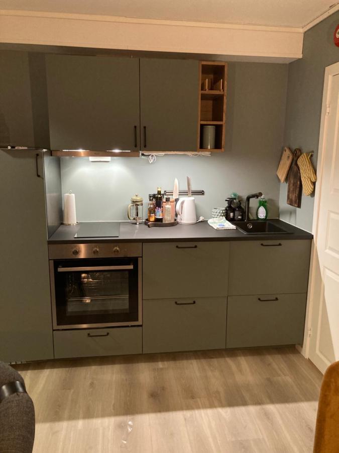 Oppdal Alpintun Apartment Екстериор снимка